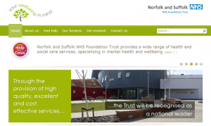 Sixth Day of Lent: Going without... £24,993 wasted on a new NSFT website