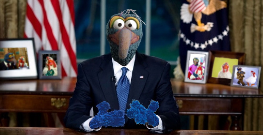 Muppet leadership